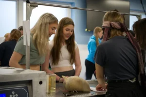 Students during a demonstration at the Aberystwyth University School of Veterinary Science Residential Summer School